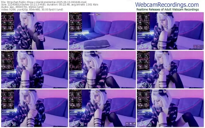 stripchat-hardcorehentai-06-13-2025-09-34-49