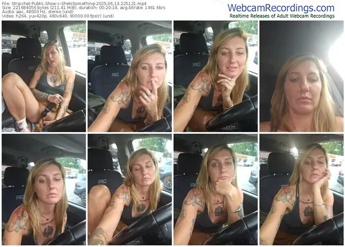 stripchat-sheissomething-06-13-2025-22-51-21