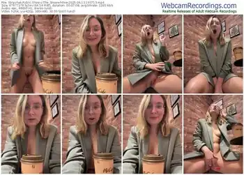 stripchat-the_snowwhitee-06-13-2025-19-37-13