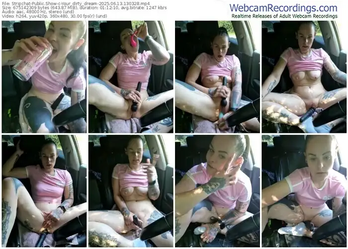 stripchat-your_dirty_dream-06-13-2025-13-03-28