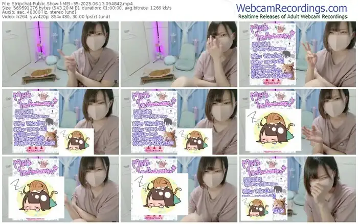 stripchat-mei--55-06-13-2025-09-48-42