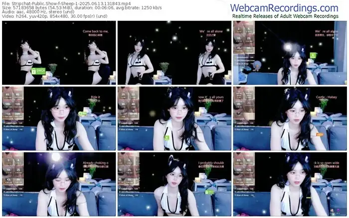 stripchat-sheep-1-06-13-2025-13-18-43