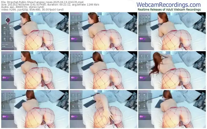 stripchat-angiee_roses-06-13-2025-22-41-35