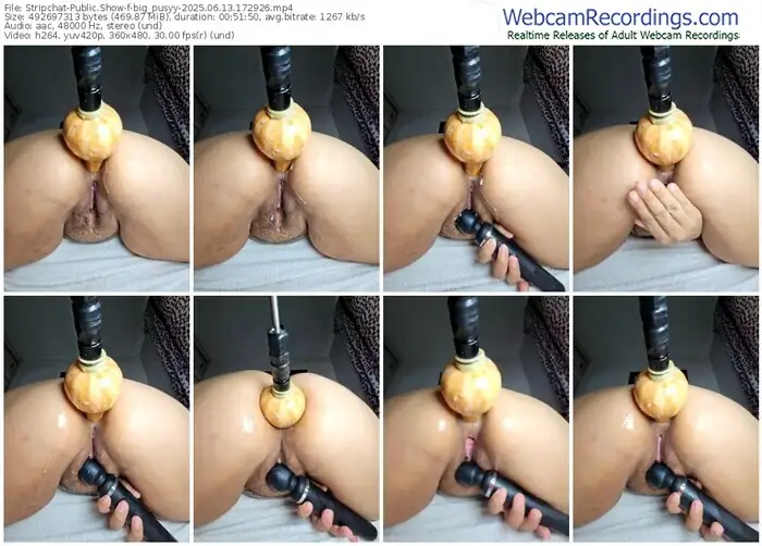stripchat-big_pusyy-06-13-2025-17-29-26