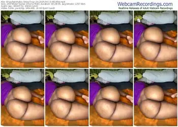 stripchat-nur_lin-06-13-2025-08-16-59