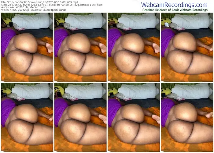 stripchat-nur_lin-06-13-2025-08-16-59