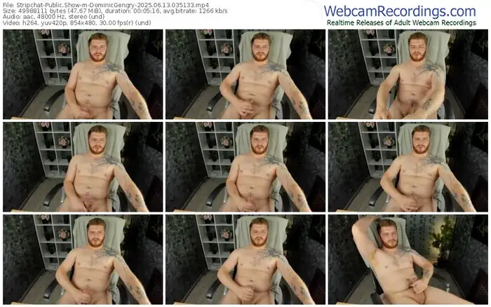 stripchat-dominicgengry-06-13-2025-03-51-33
