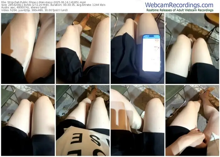 stripchat-meii-meyy-06-14-2025-14-18-51