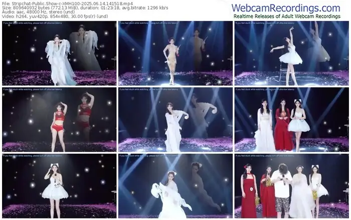 stripchat-xmh100-06-14-2025-14-15-18