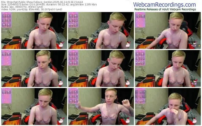 stripchat-alexis_gordon-06-14-2025-01-31-13