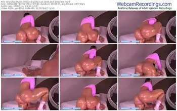 stripchat-dakota_lee-06-14-2025-03-23-01