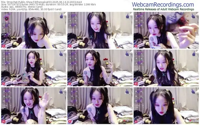 stripchat-etherealcat33-06-14-2025-21-20-03