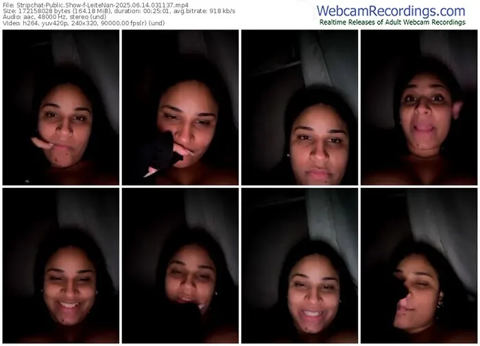 stripchat-leitenan-06-14-2025-03-11-37