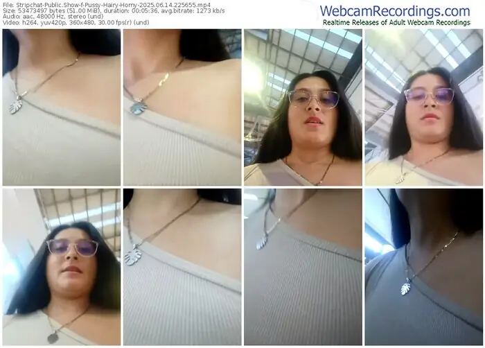 stripchat-pussy-hairy-horny-06-14-2025-22-56-55