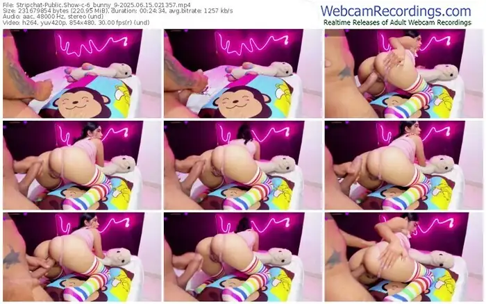 stripchat-6_bunny_9-06-15-2025-02-13-57