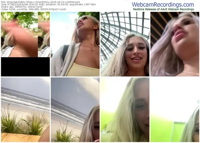 stripchat-sinwithamy-06-15-2025-14-26-58