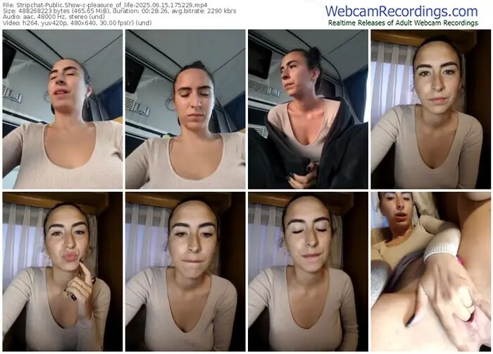 stripchat-pleasure_of_life-06-15-2025-17-52-29