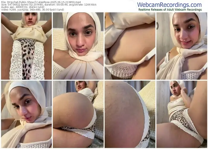 stripchat-cuteerose-06-15-2025-21-38-53