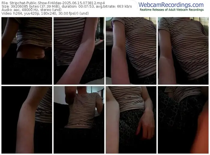 stripchat-hildas-06-15-2025-07-38-12