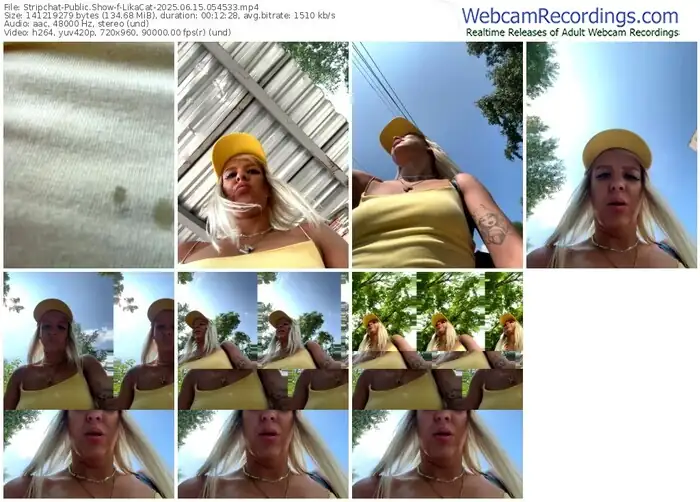 stripchat-likacat-06-15-2025-05-45-33