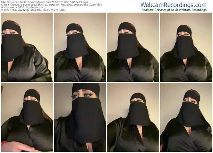 stripchat-queendina777-06-15-2025-00-04-29