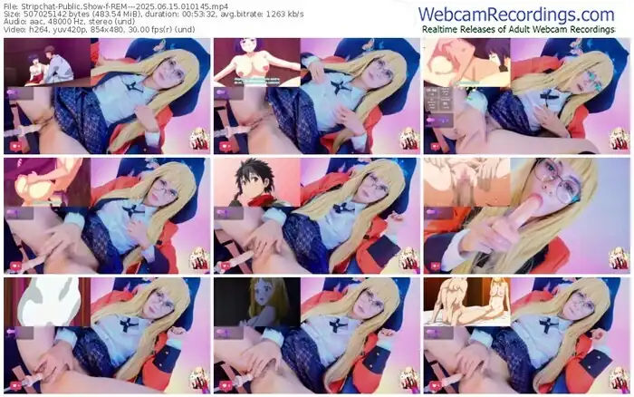 stripchat-rem---06-15-2025-01-01-45