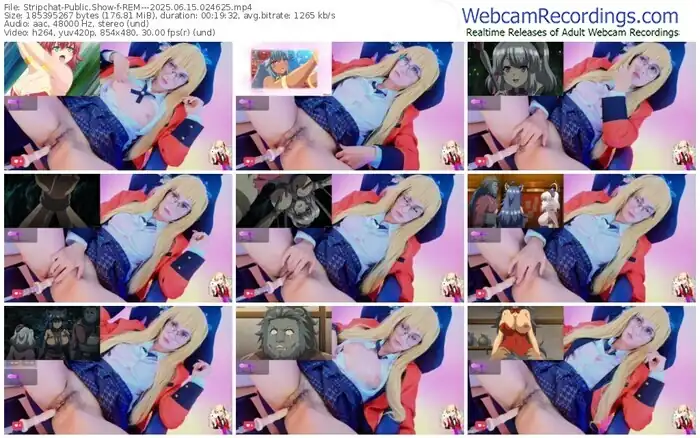 stripchat-rem---06-15-2025-02-46-25