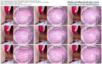 stripchat-danigirl866-06-15-2025-23-21-56