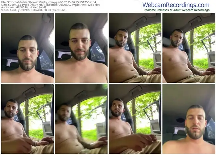 stripchat-pablo_hornyguy95-06-15-2025-15-17-56