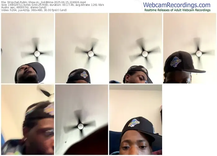 stripchat-_goldmine-06-15-2025-22-49-26