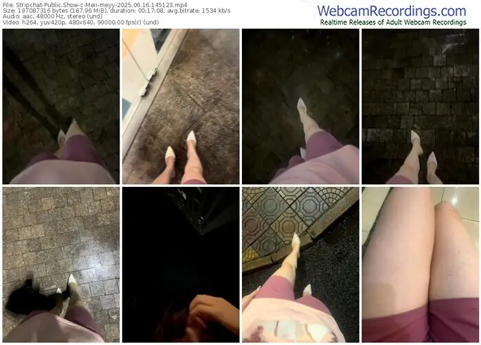 stripchat-meii-meyy-06-16-2025-14-51-23