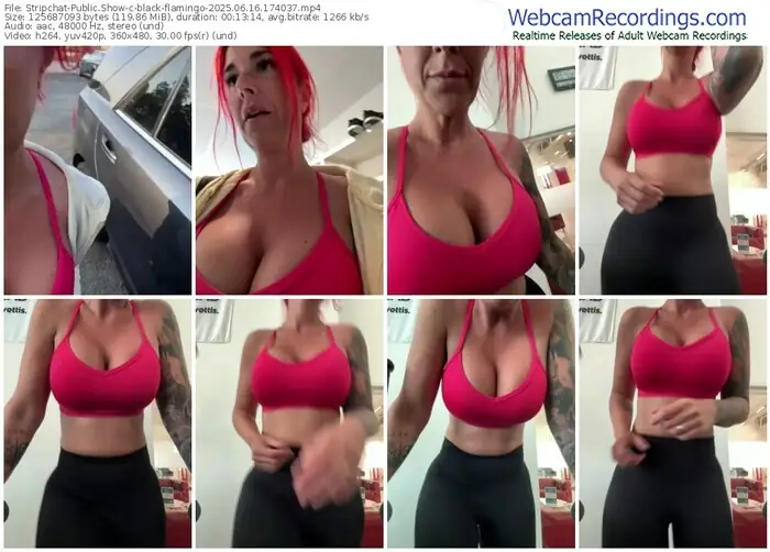 stripchat-black-flamingo-06-16-2025-17-40-37