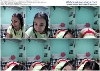 stripchat-luizaguineto-06-16-2025-04-46-27