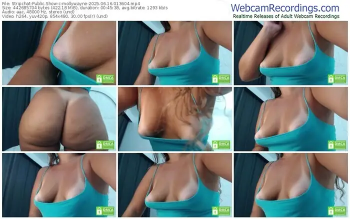 stripchat-mollywayne-06-16-2025-01-36-04