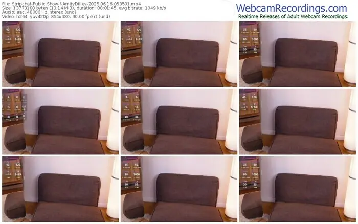 stripchat-amitydilley-06-16-2025-05-35-01