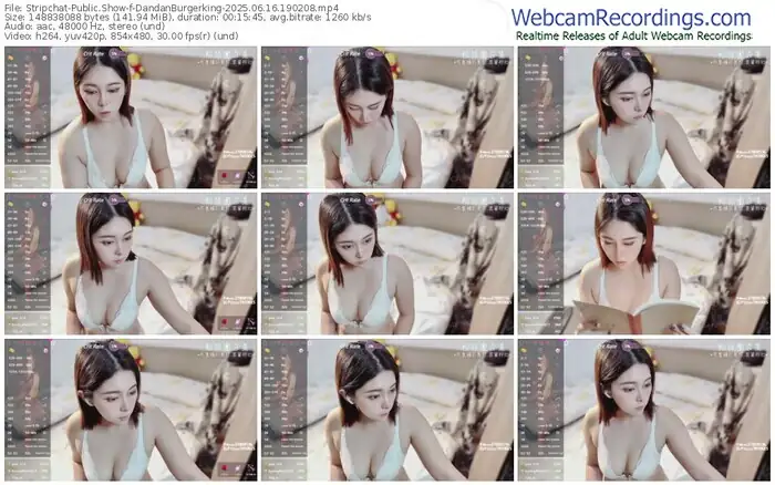 stripchat-dandanburgerking-06-16-2025-19-02-08