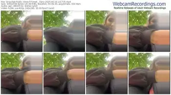 stripchat-forest__fairy-06-16-2025-12-17-35