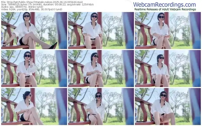 stripchat-maneki-nekoo-06-16-2025-06-54-44
