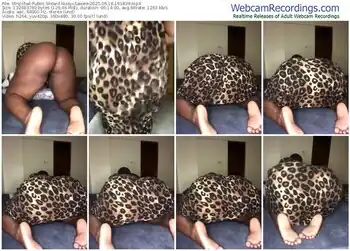 stripchat-nissyxsawee-06-16-2025-16-18-39