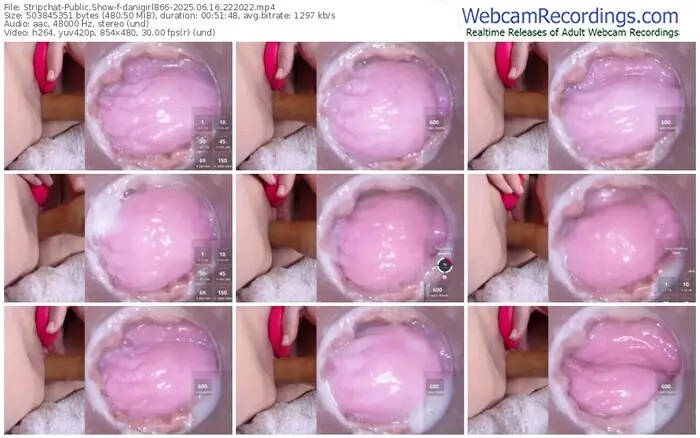 stripchat-danigirl866-06-16-2025-22-20-22