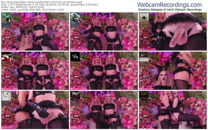 stripchat-wethookers-06-16-2025-03-44-44