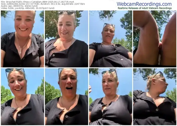 stripchat-canadian_bbw-06-17-2025-18-27-35