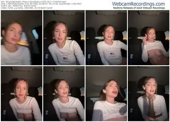 stripchat-evieevans-06-17-2025-19-34-04