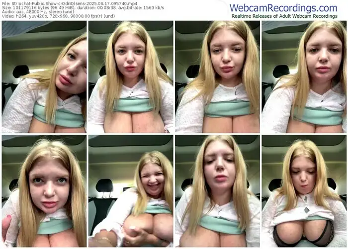 stripchat-odriolsens-06-17-2025-09-57-40