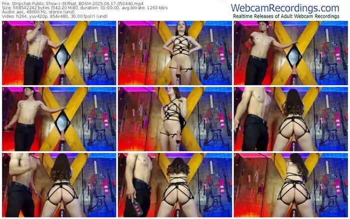 stripchat-stifnat_bdsm-06-17-2025-05-04-40