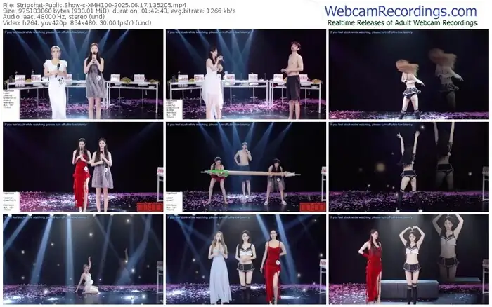 stripchat-xmh100-06-17-2025-13-52-05