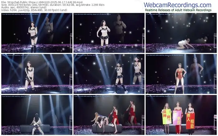 stripchat-xmh100-06-17-2025-14-41-36