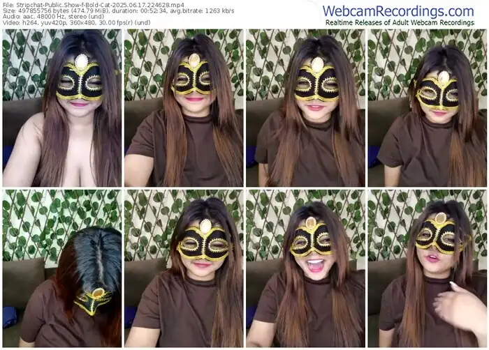 stripchat-bold-cat-06-17-2025-22-46-28