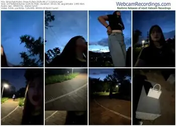 stripchat-lfeiji-06-17-2025-12-20-16