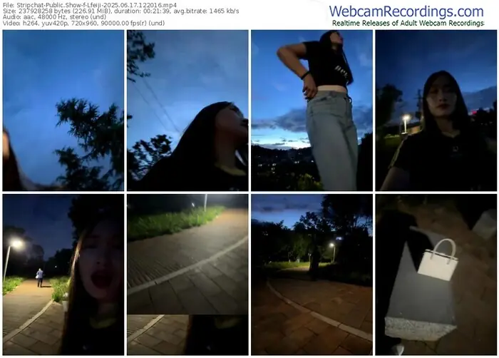 stripchat-lfeiji-06-17-2025-12-20-16